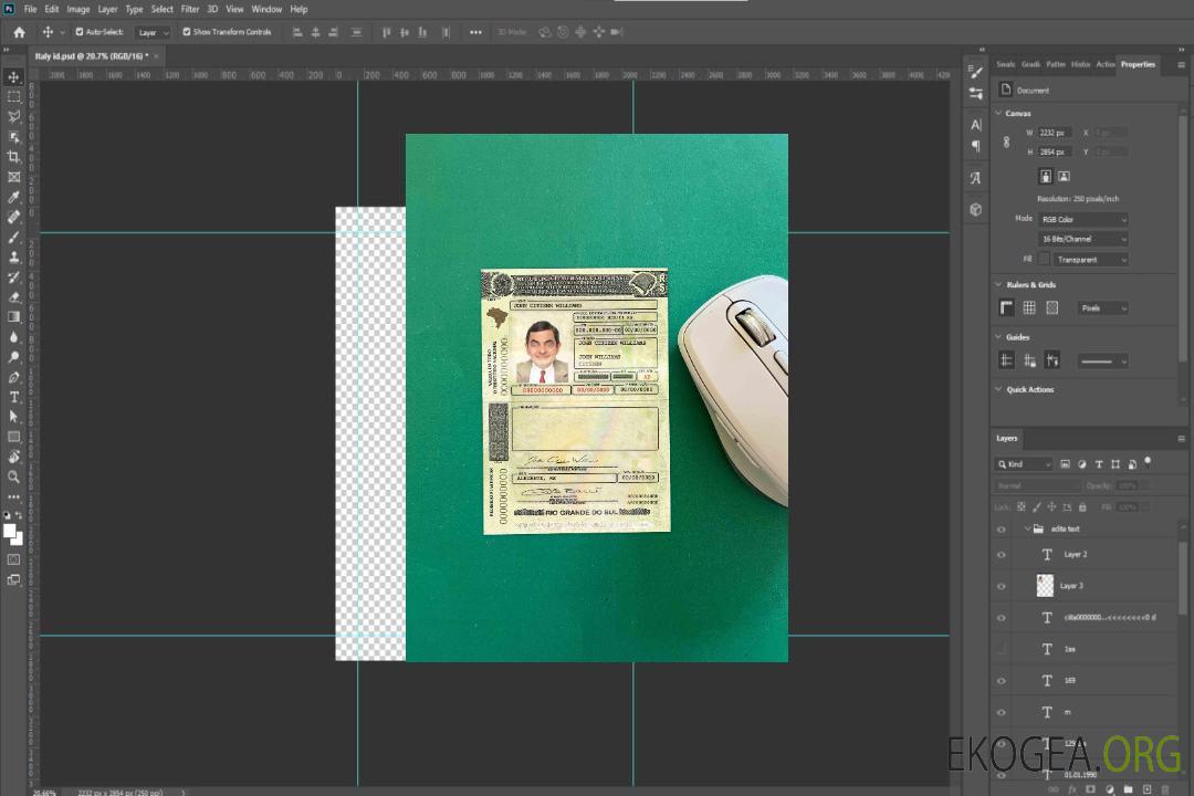 Photolook Brésil DL (Rio Grande do Sul) template
